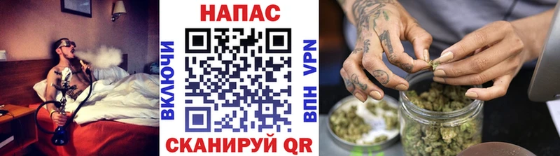 KRAKEN ONION  Новоузенск  Бошки марихуана Ganja 